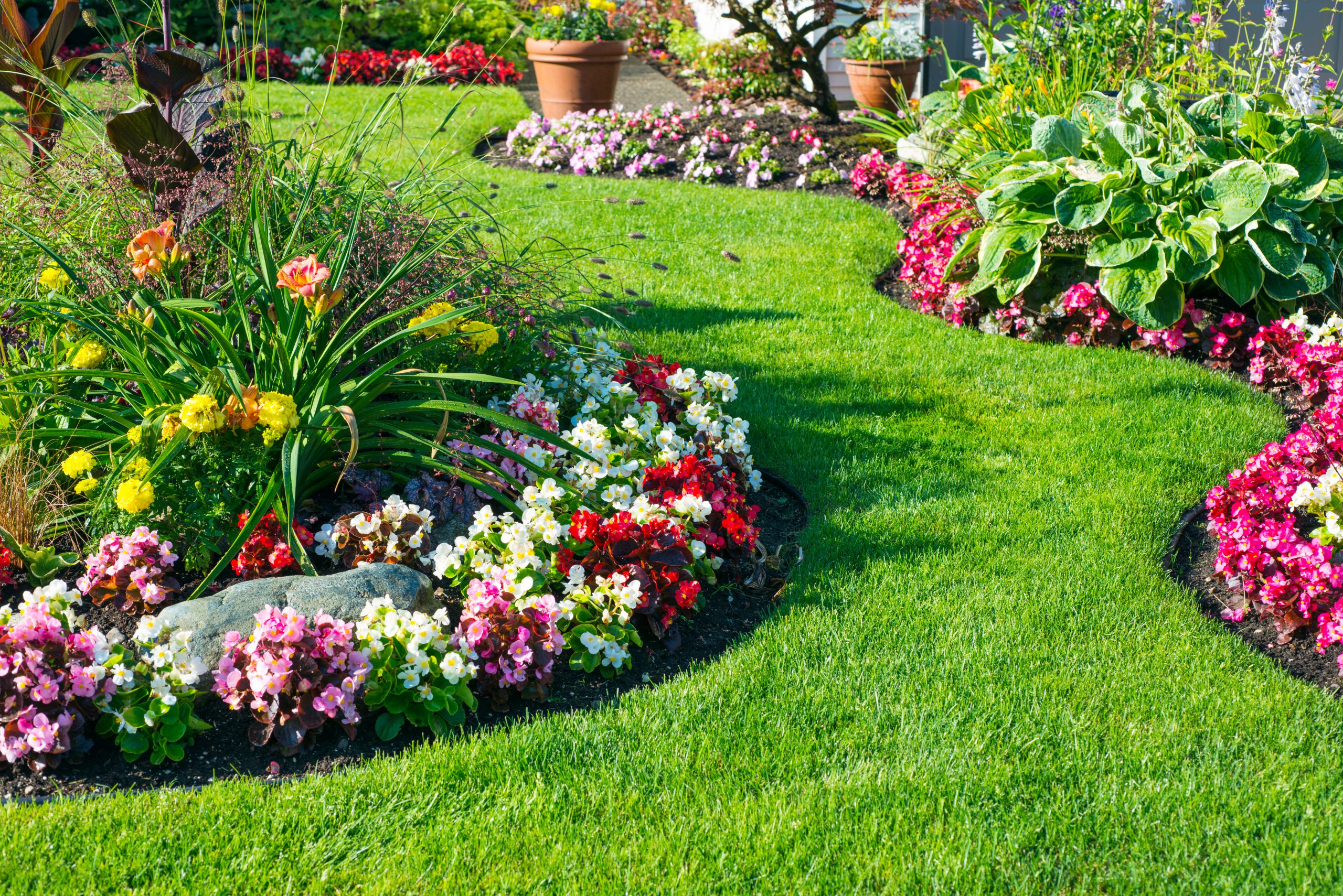 Simple Ways to Make the Garden More Enjoyable